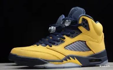 AIR JORDAN 'MICHIGAN' 5 CQ9541-704 0505